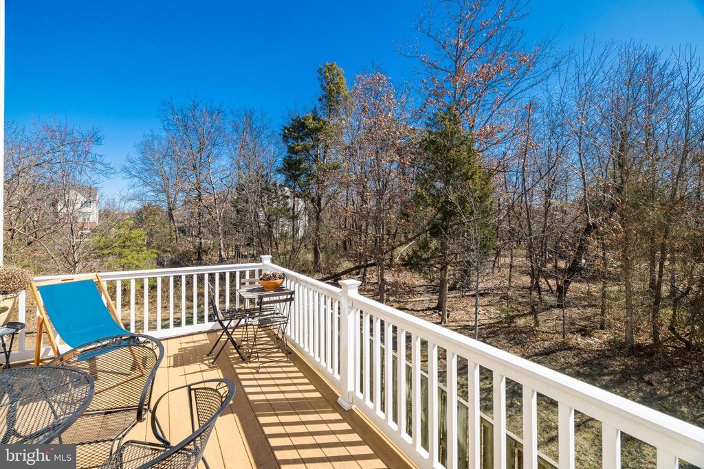 22862 CHESTNUT OAK TERRACE