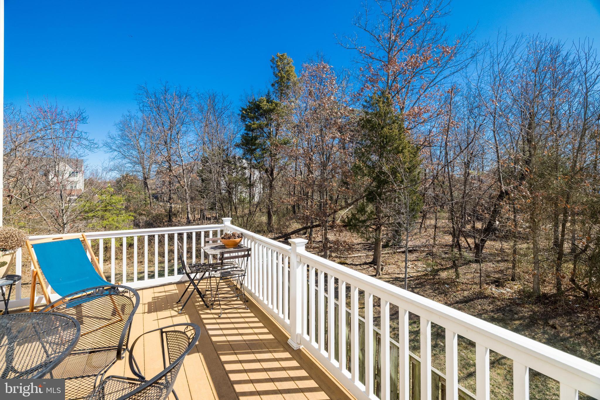 22862 CHESTNUT OAK TERRACE