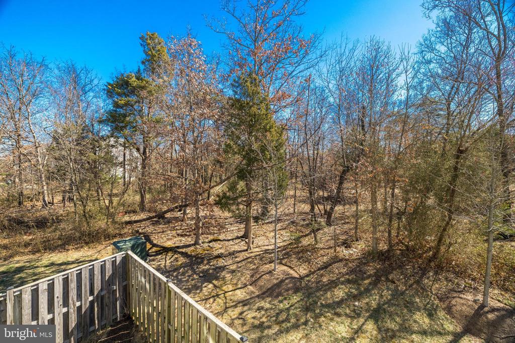 22862 CHESTNUT OAK TERRACE