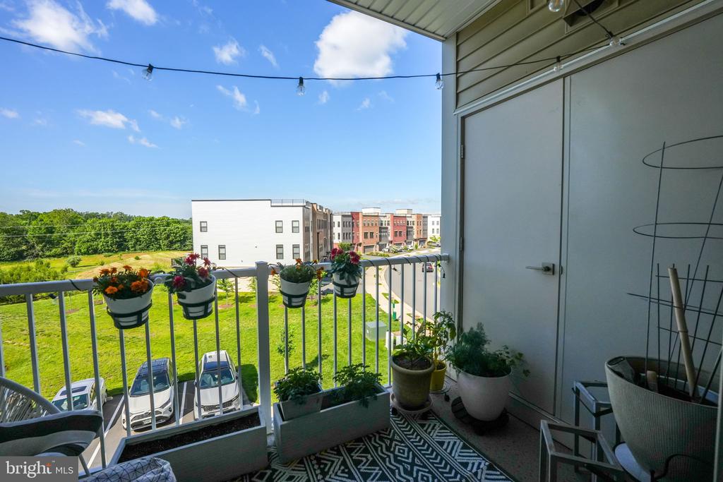 23559 WATERFORD DOWNS TERRACE
