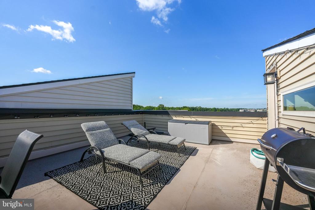 23559 WATERFORD DOWNS TERRACE