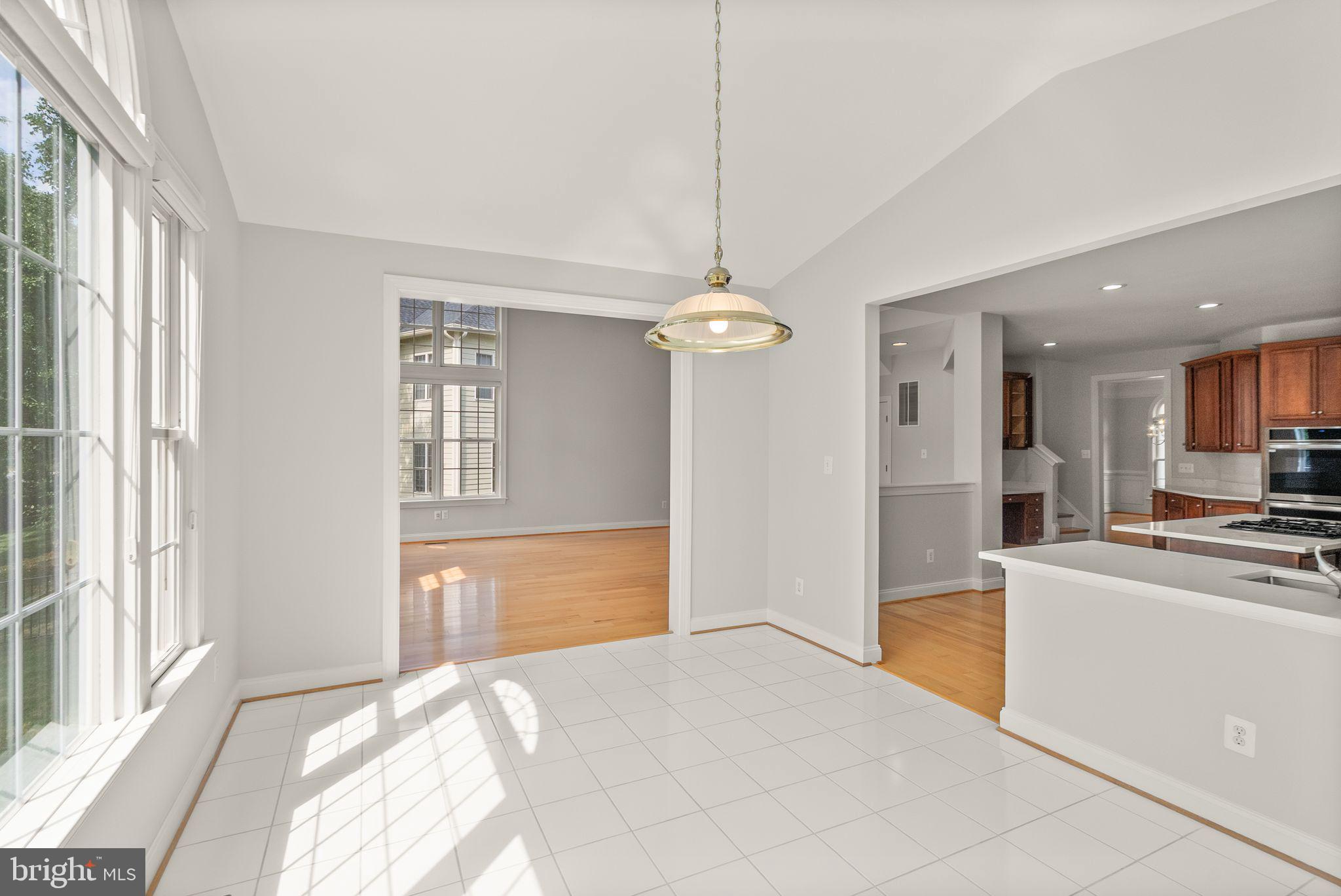 19339 MILL DAM PLACE