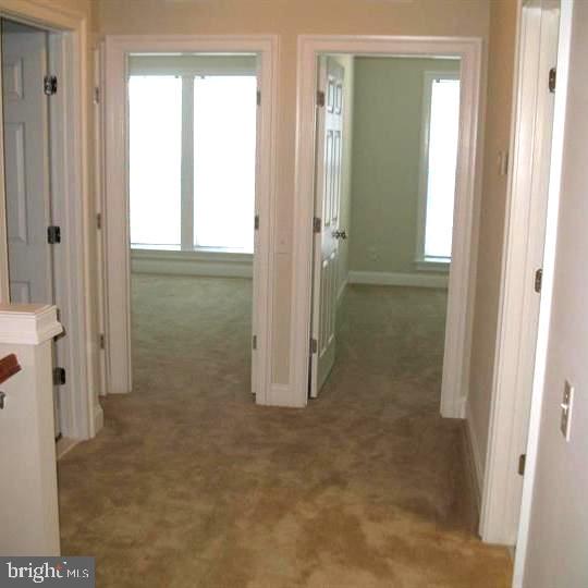 42784 LAUDER TERRACE