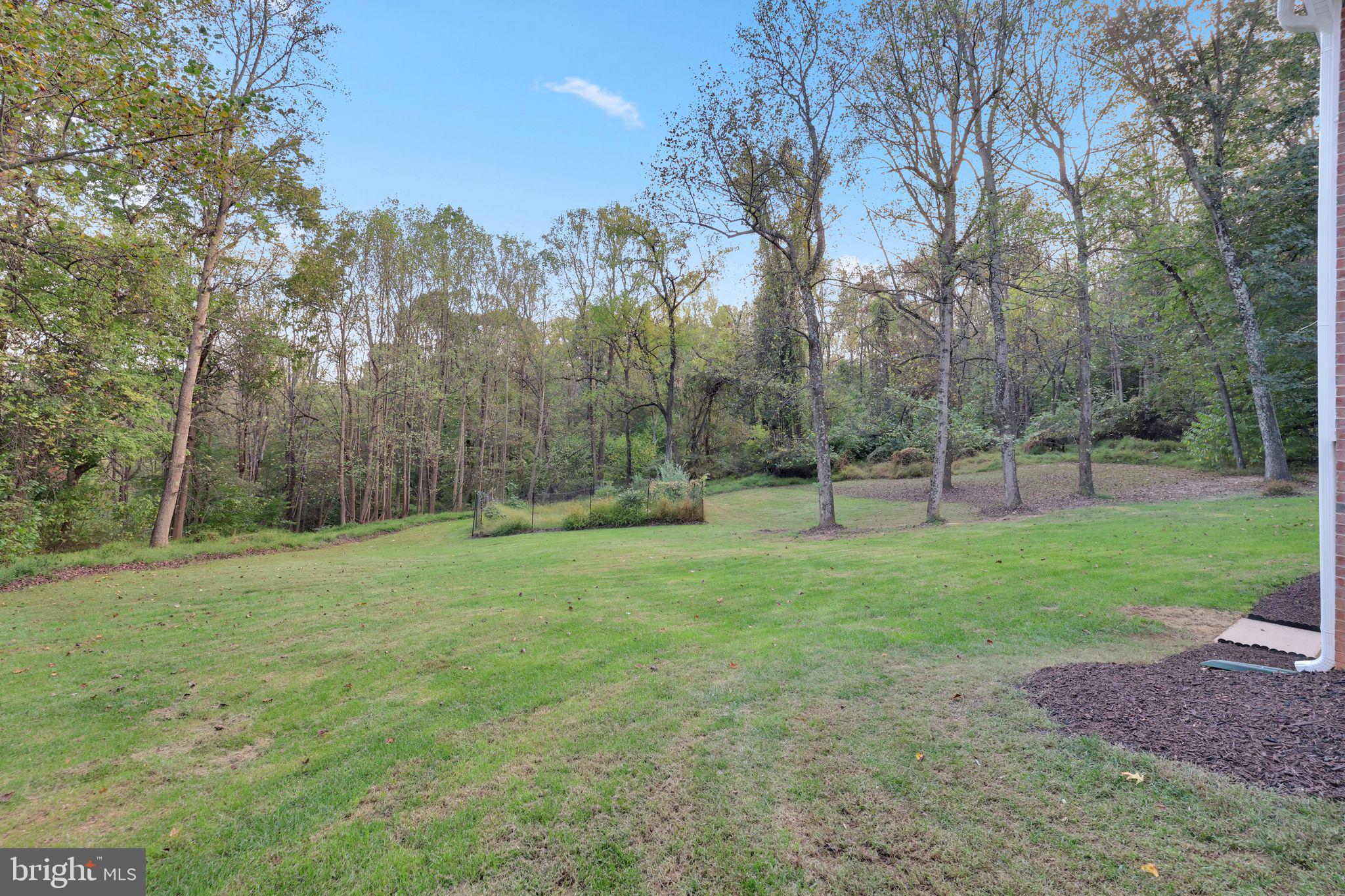 41541 CARTER RIDGE LANE