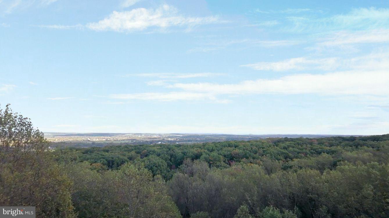 41541 CARTER RIDGE LANE