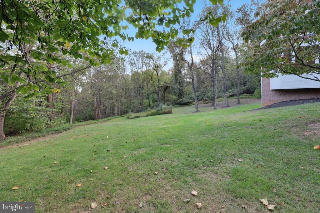 41541 CARTER RIDGE LANE