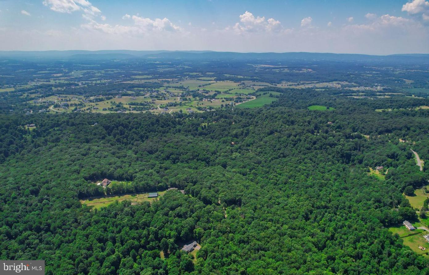 41541 CARTER RIDGE LANE