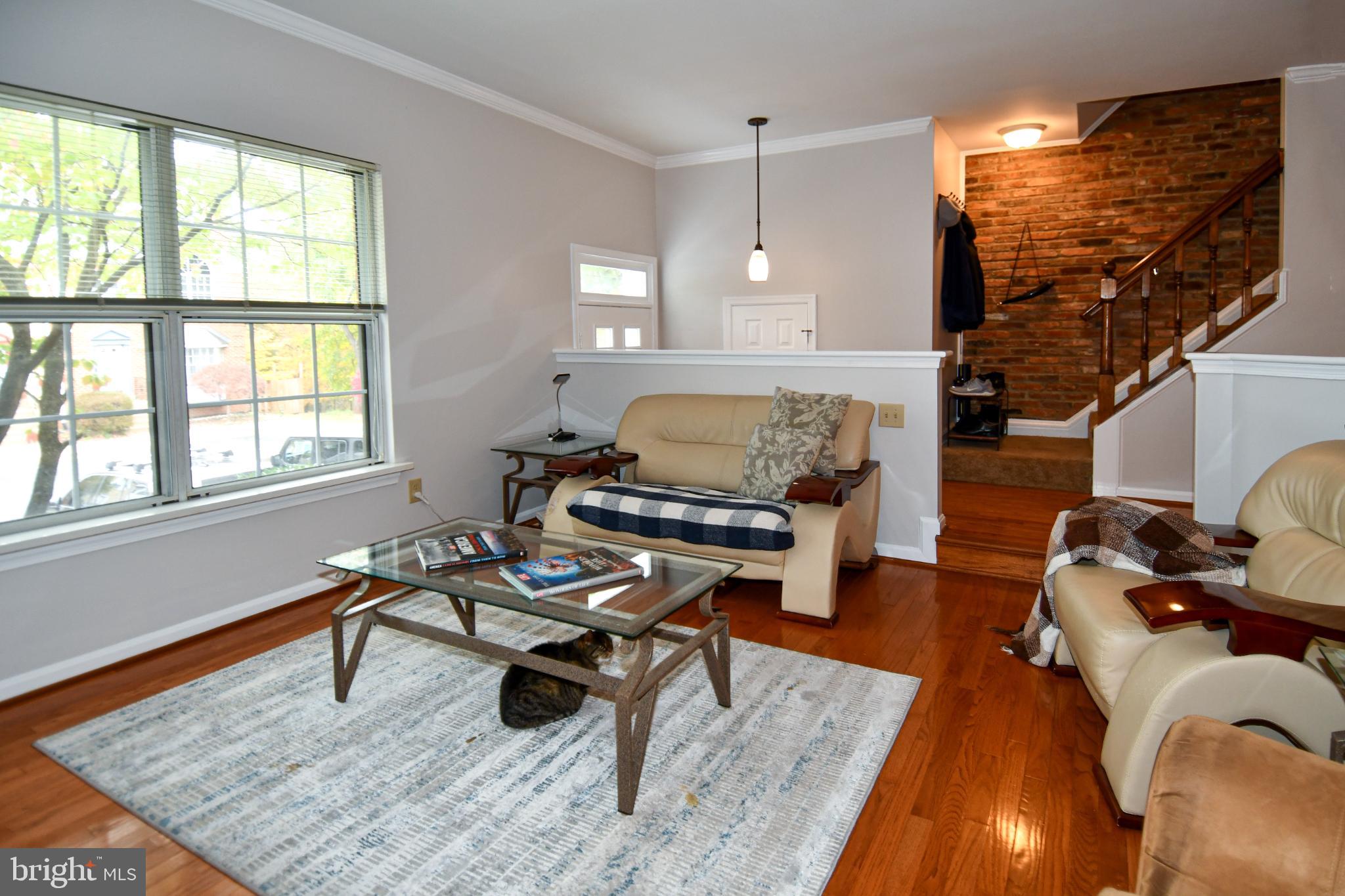 46699 PARAGON TERRACE