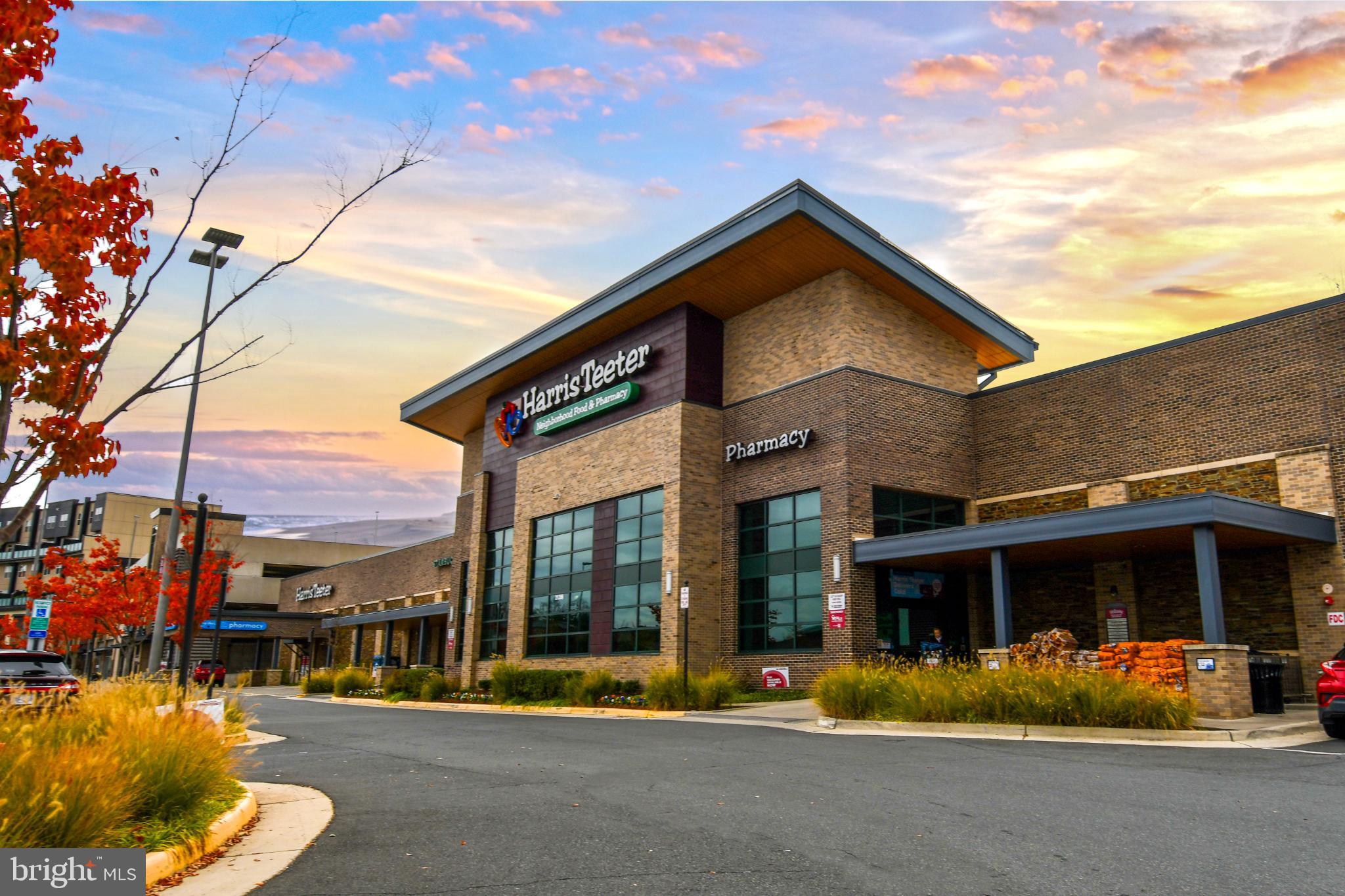 46699 PARAGON TERRACE