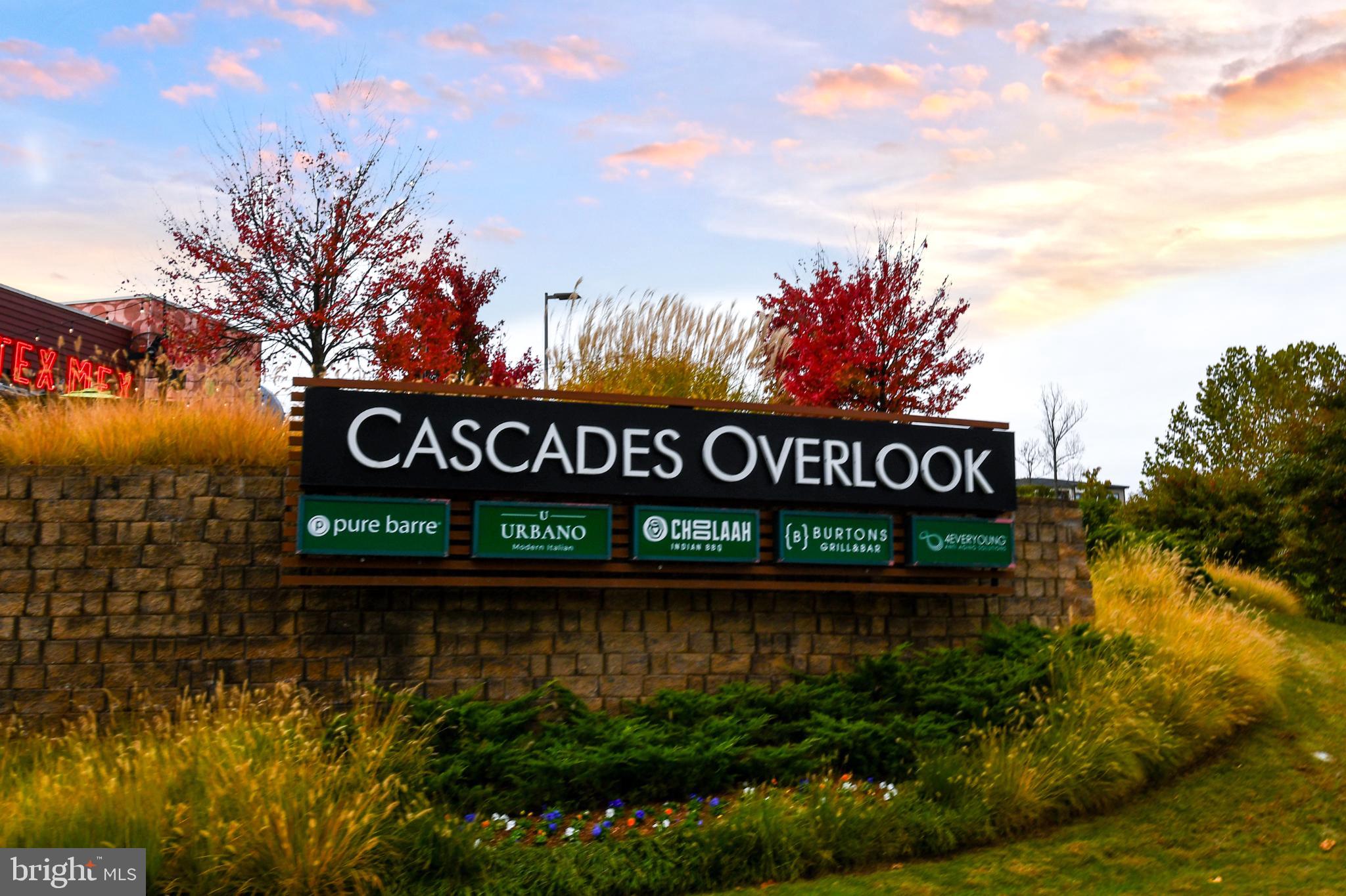 46699 PARAGON TERRACE