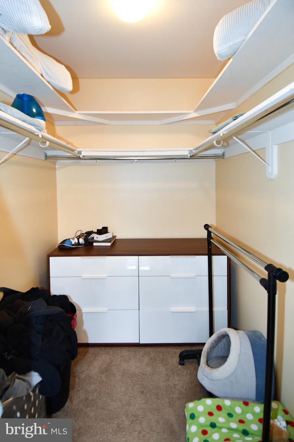 46699 PARAGON TERRACE