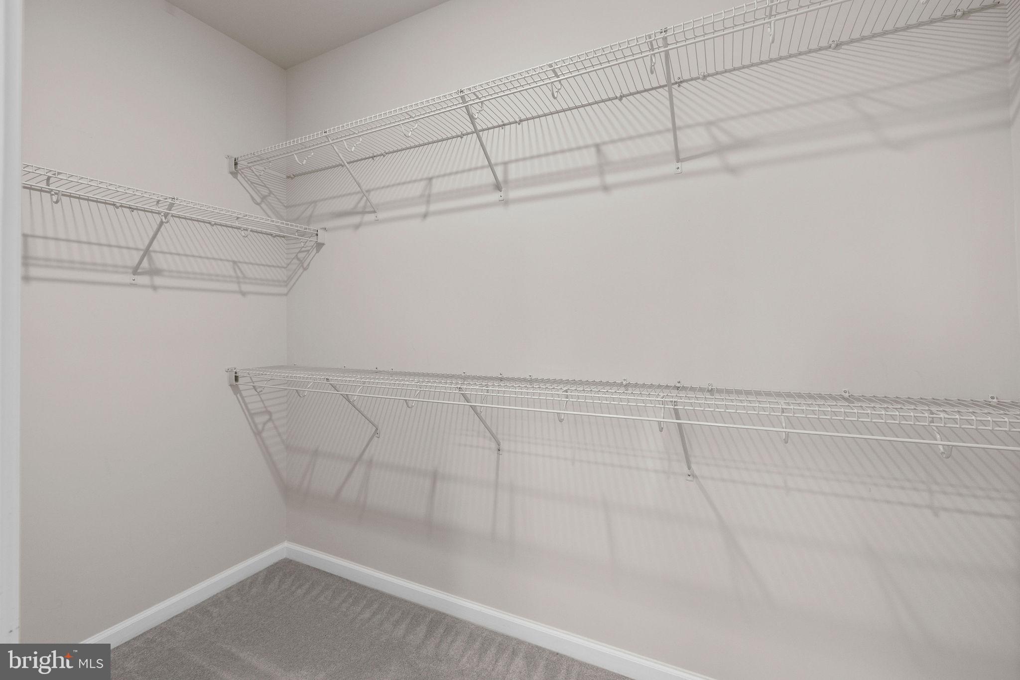 43361 RADFORD DIVIDE TERRACE