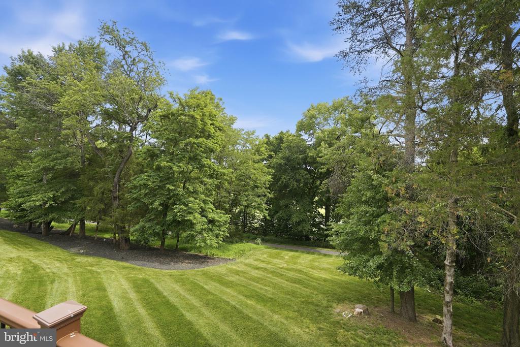 18856 RIDGEBACK COURT