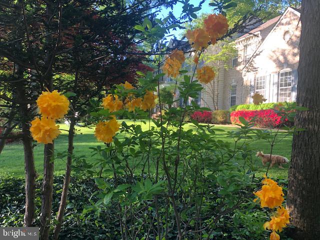 12017 Bridle Post Pl