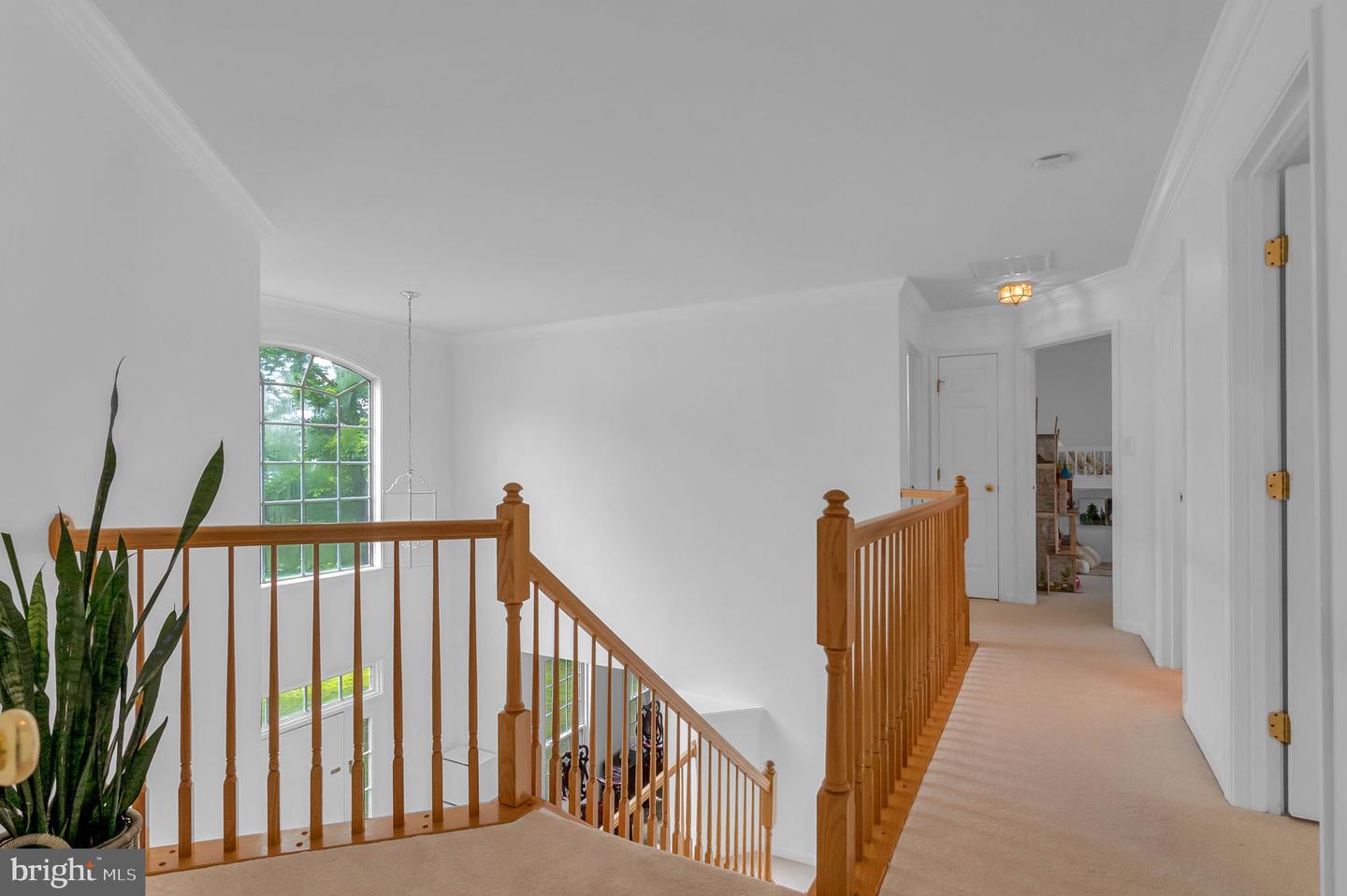 13170 Habrown Ct