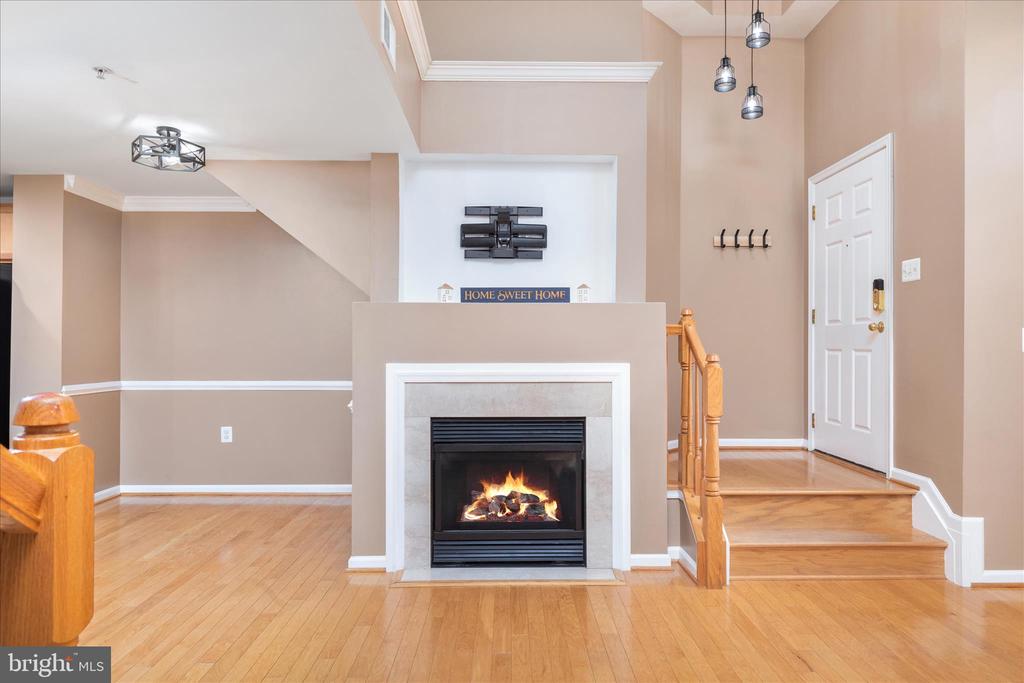 15246 ROSEMONT MANOR DRIVE
