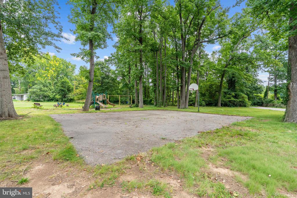 13603 ALEXIS COURT