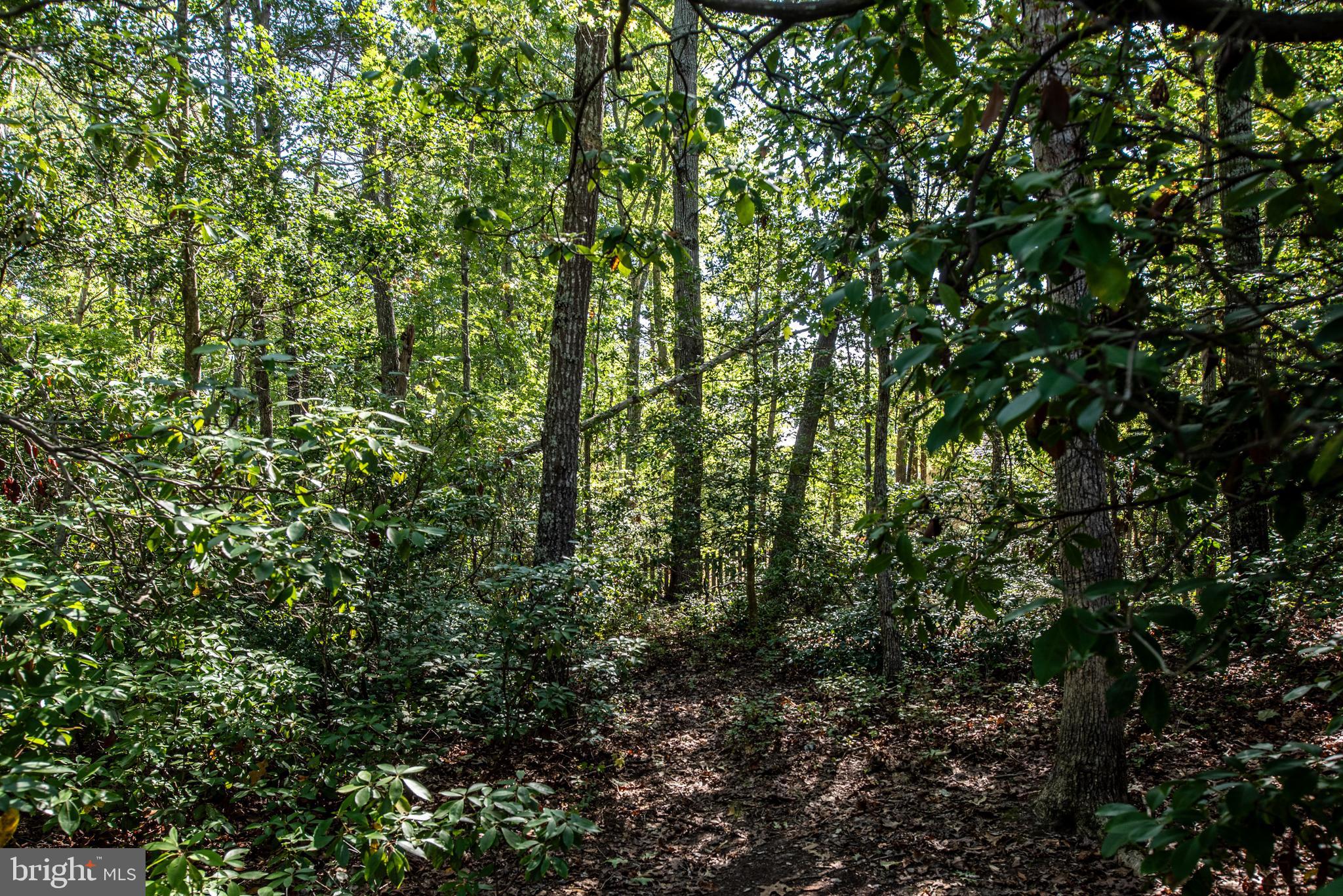 8703 LAROQUE RUN DRIVE