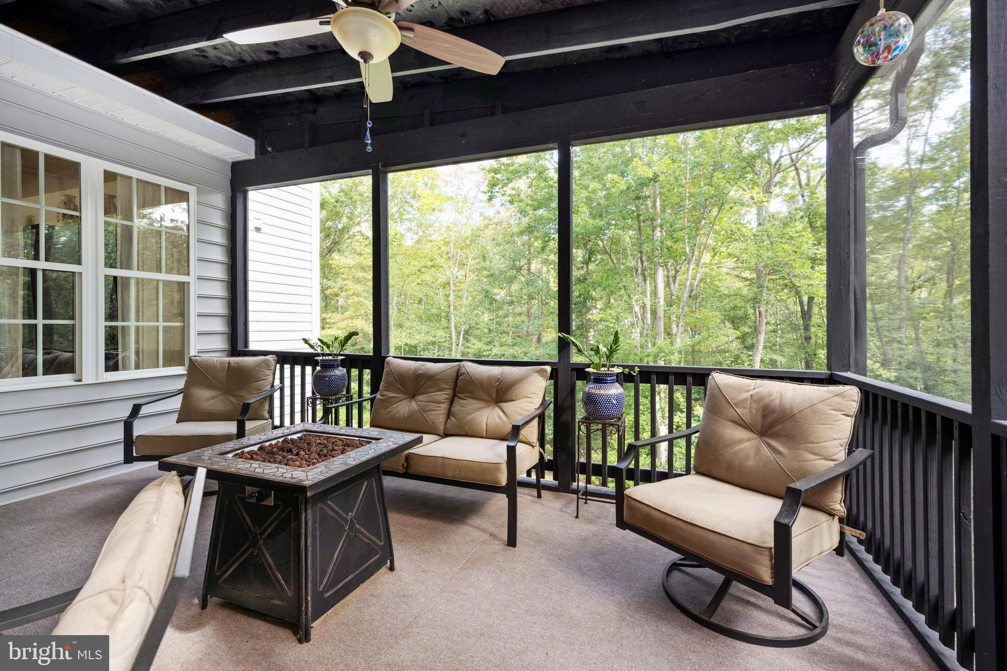 8703 LAROQUE RUN DRIVE