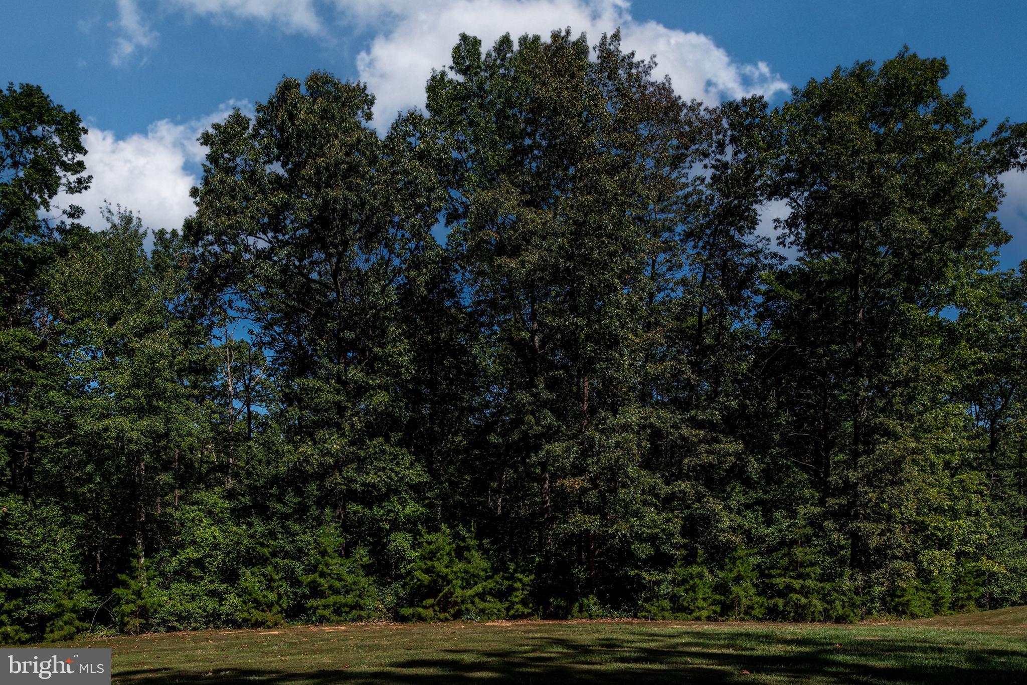 8703 LAROQUE RUN DRIVE