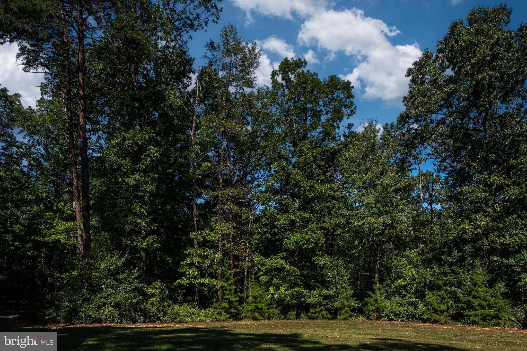 8703 LAROQUE RUN DRIVE