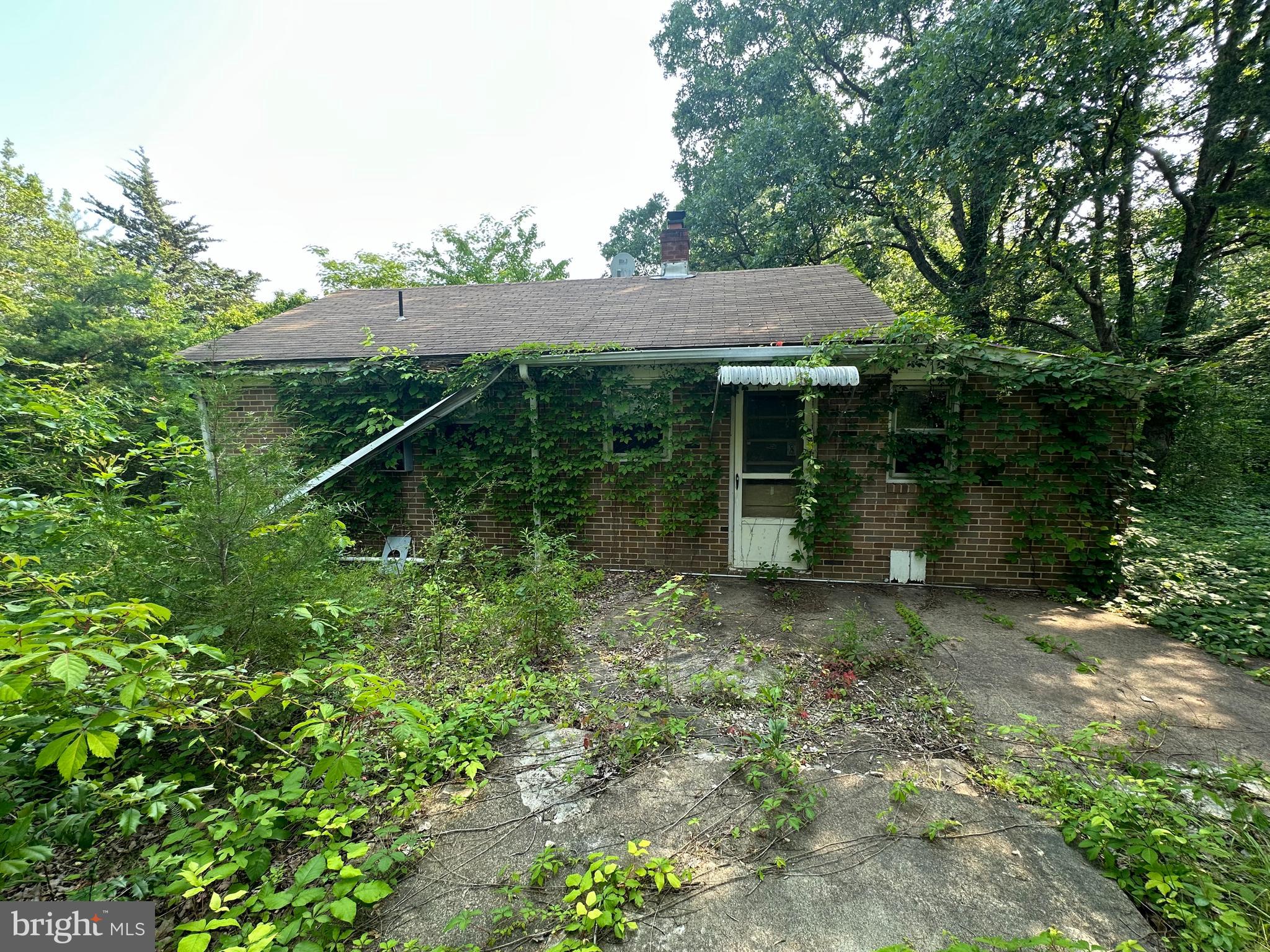 10017 Hayden Rd