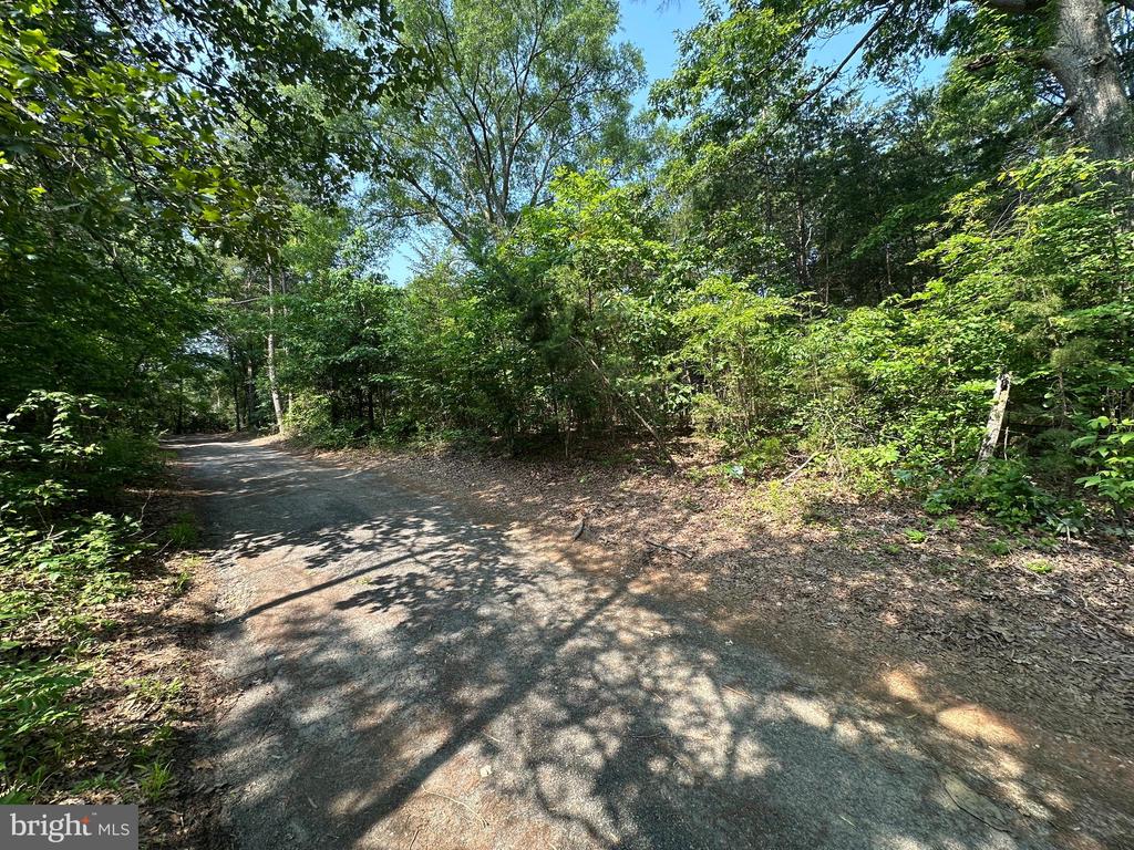 10017 Hayden Rd
