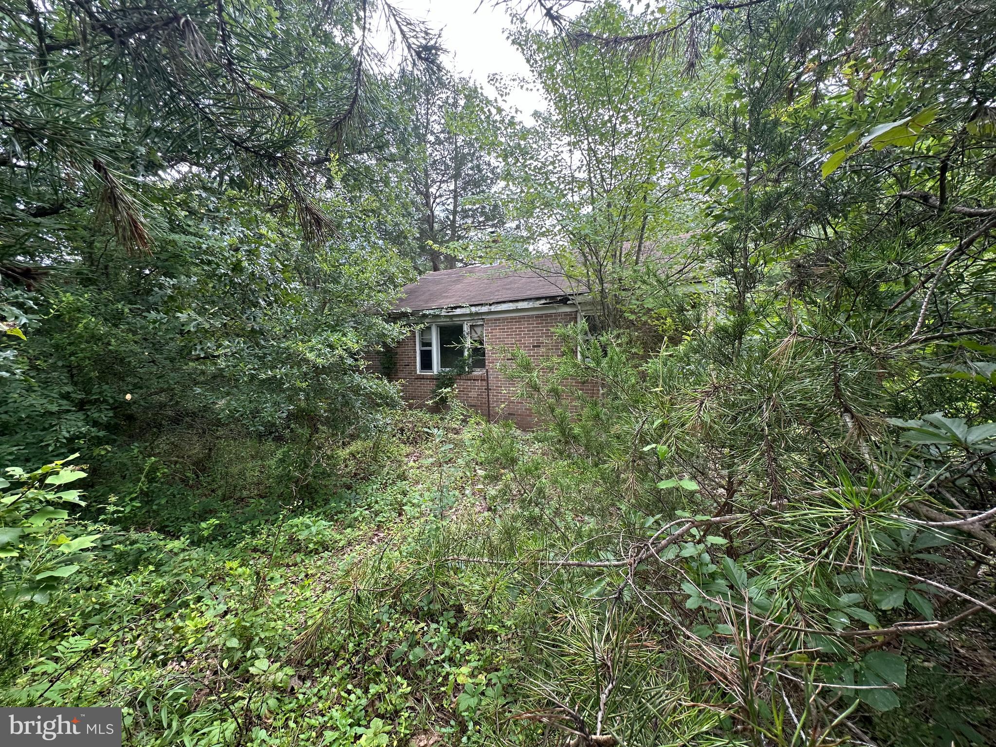 10017 Hayden Rd