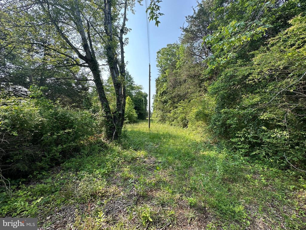 10017 Hayden Rd