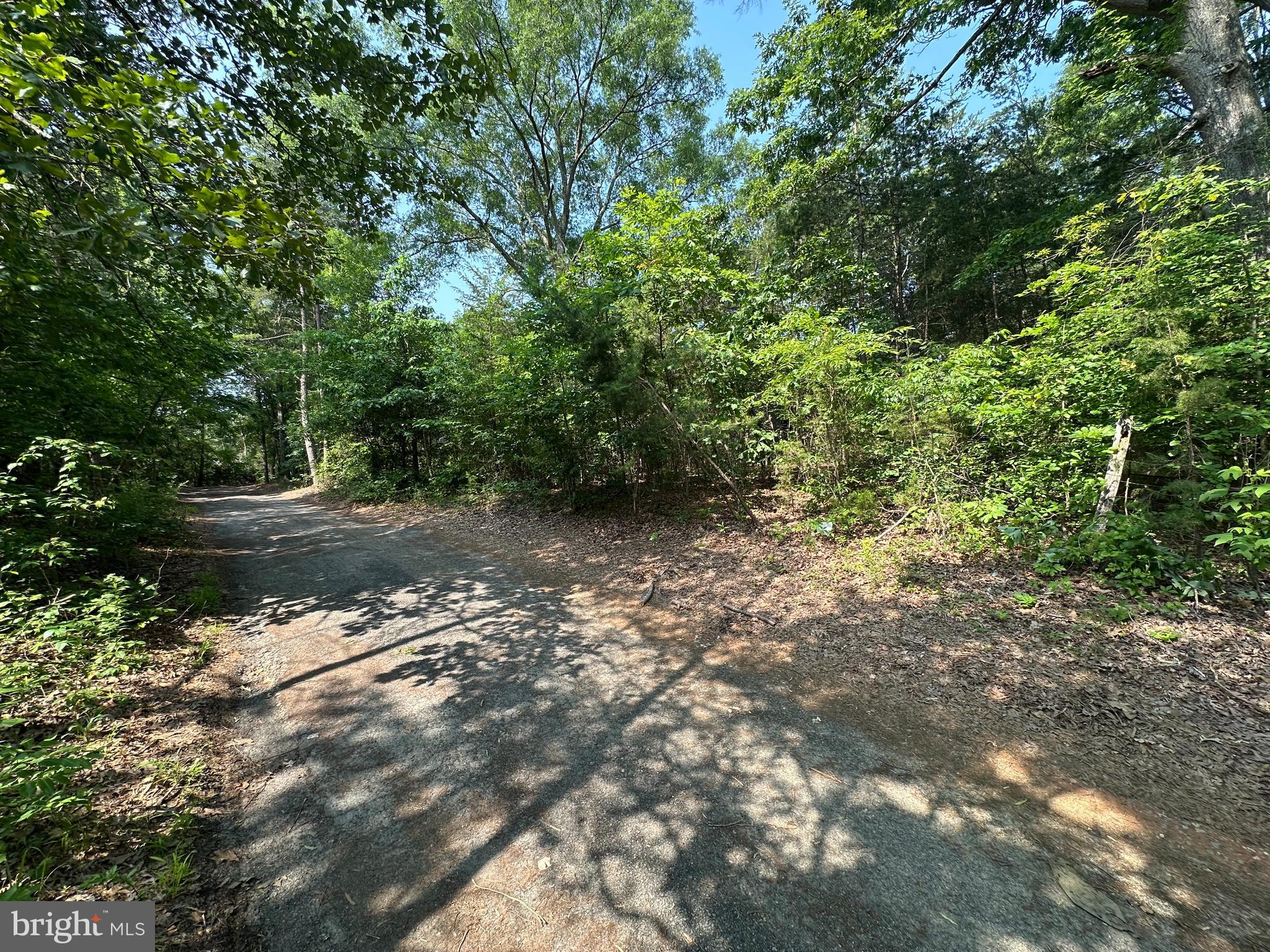 10017 Hayden Rd