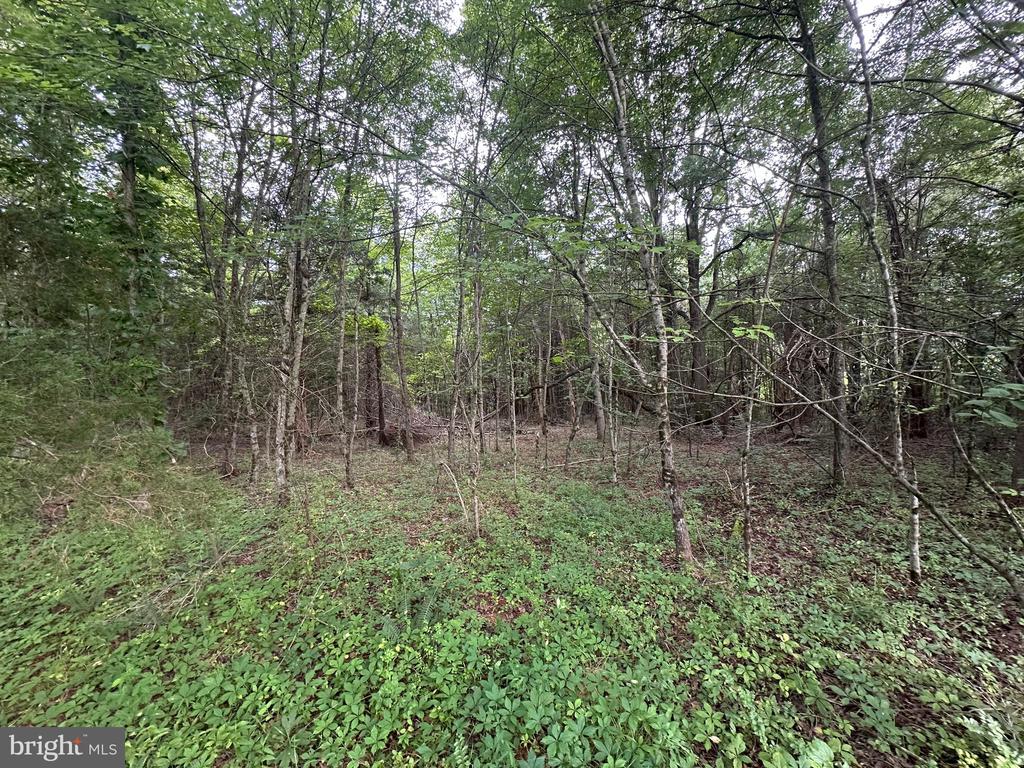 10017 Hayden Rd