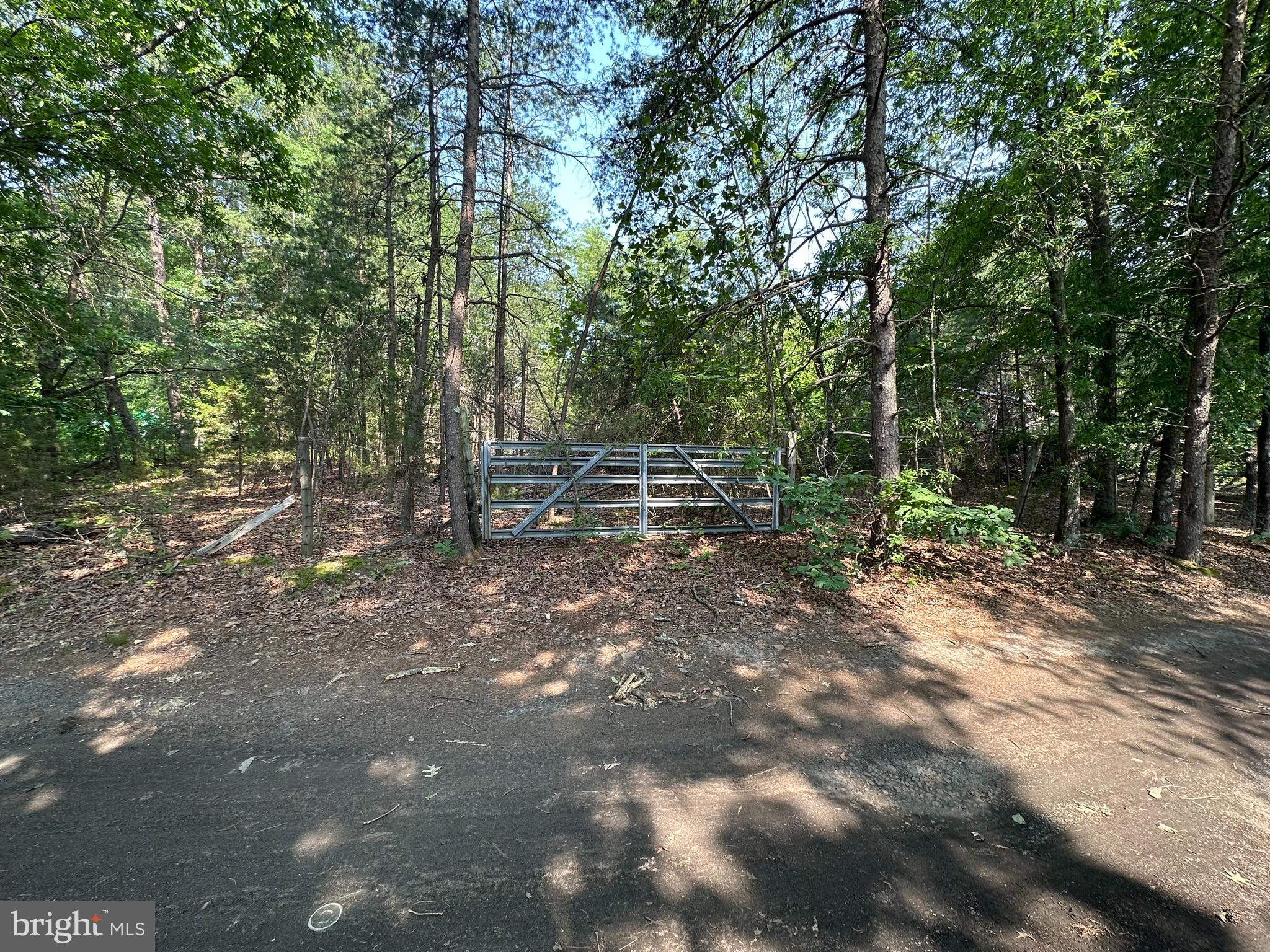 10017 Hayden Rd