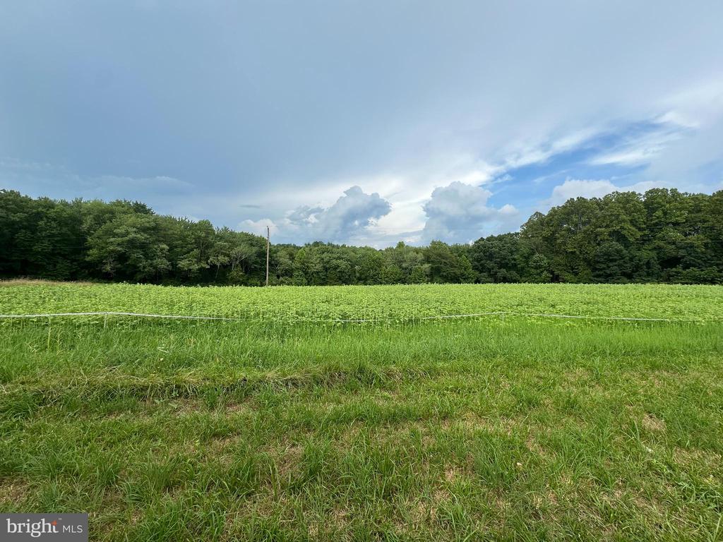 10017 Hayden Rd