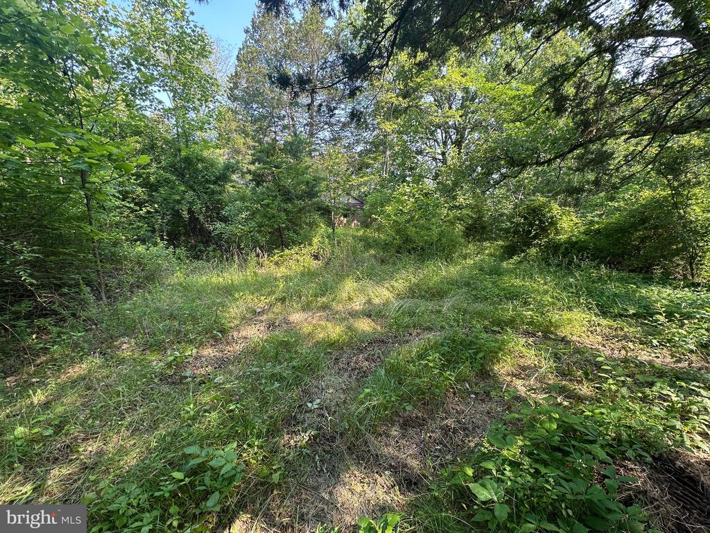 10017 Hayden Rd