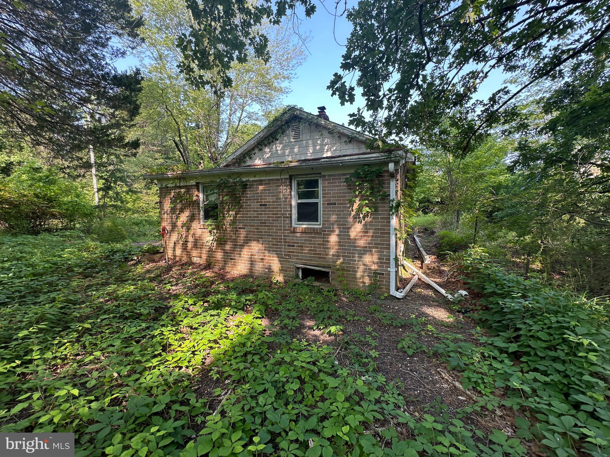 10017 Hayden Rd