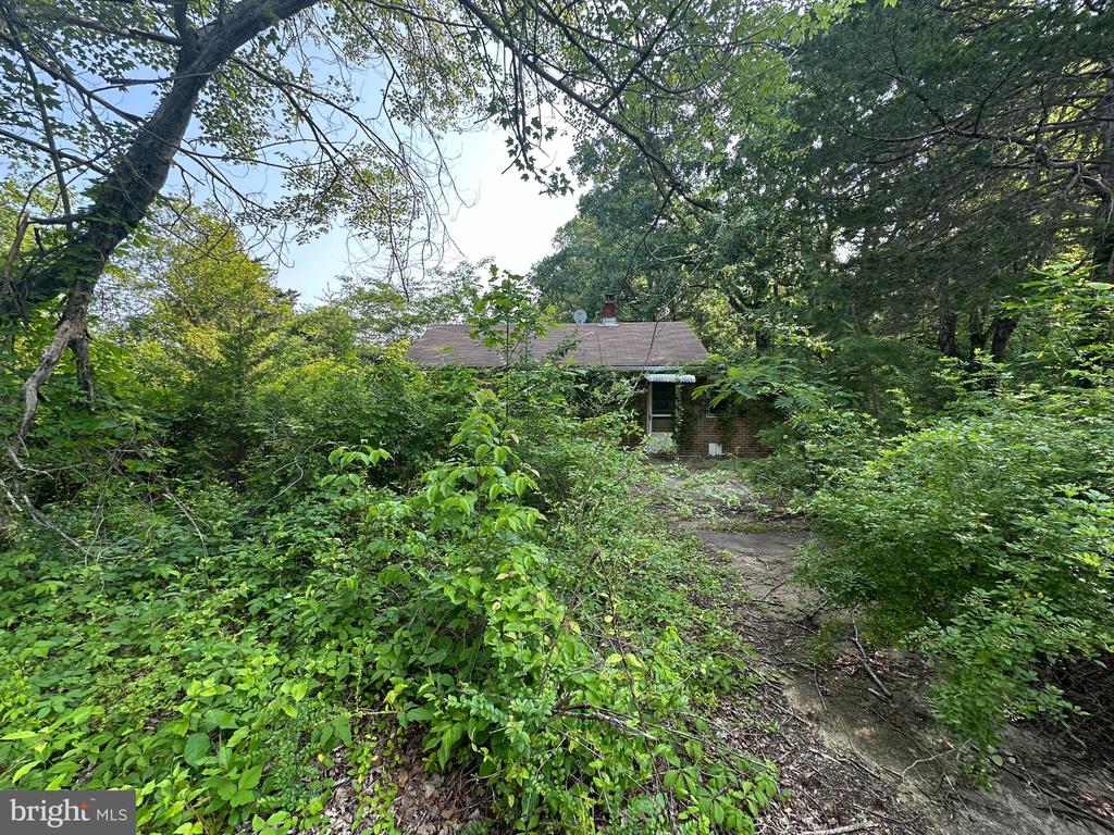 10017 Hayden Rd