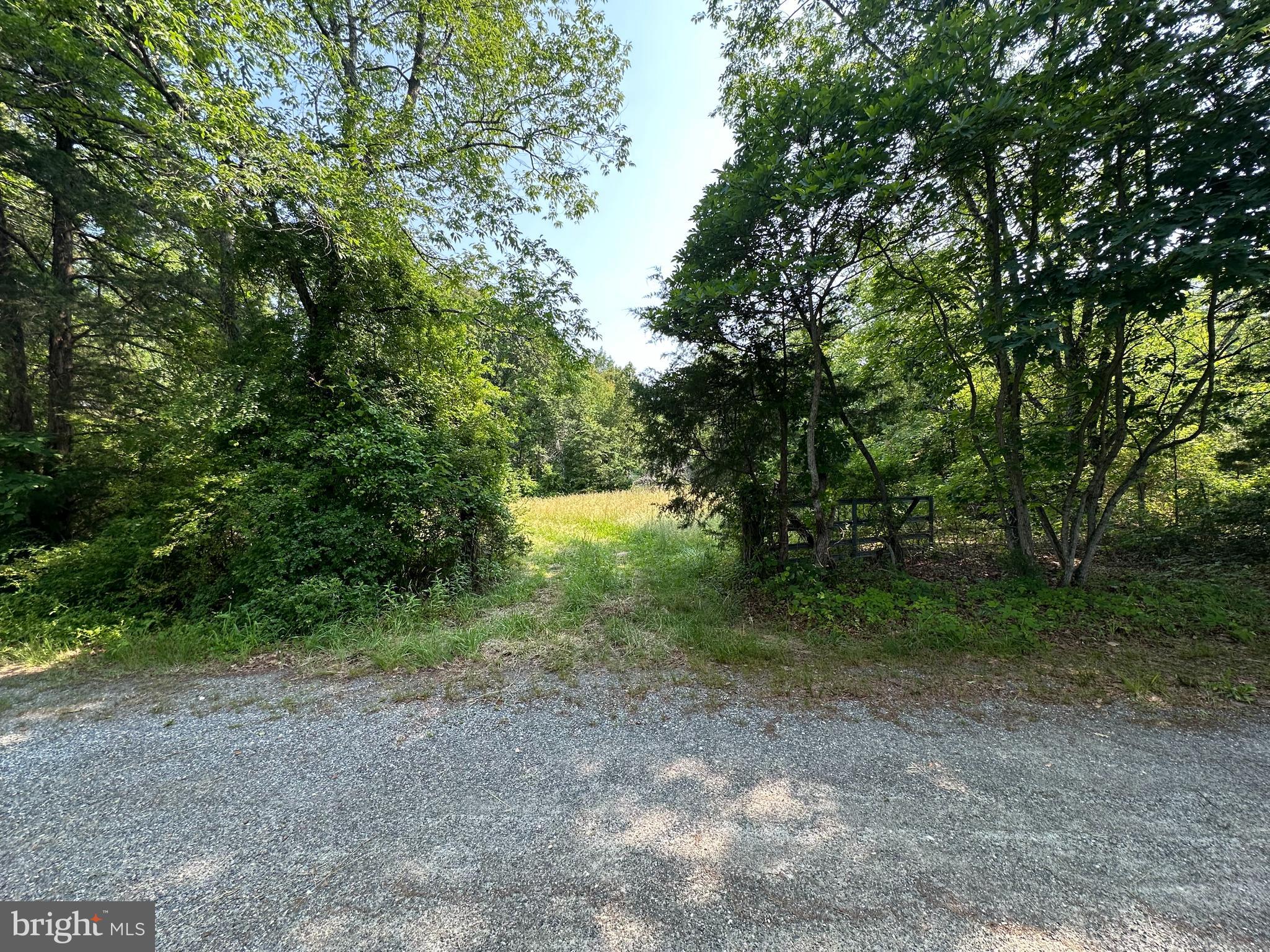9937 Hayden Rd
