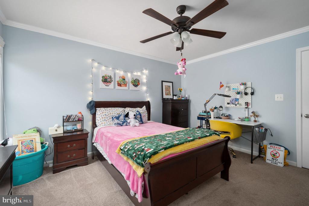 3623 CAROLINA COURT