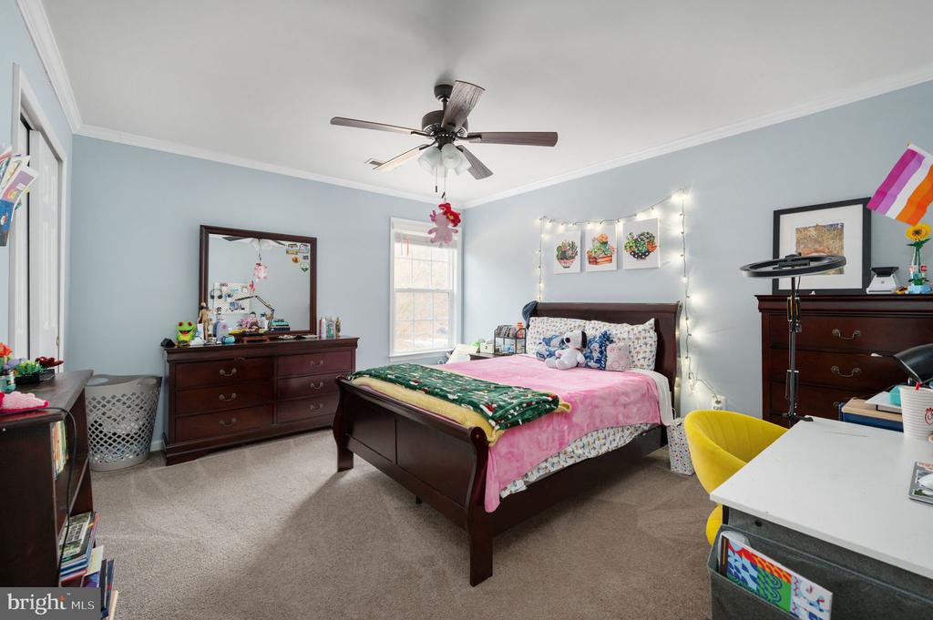 3623 CAROLINA COURT