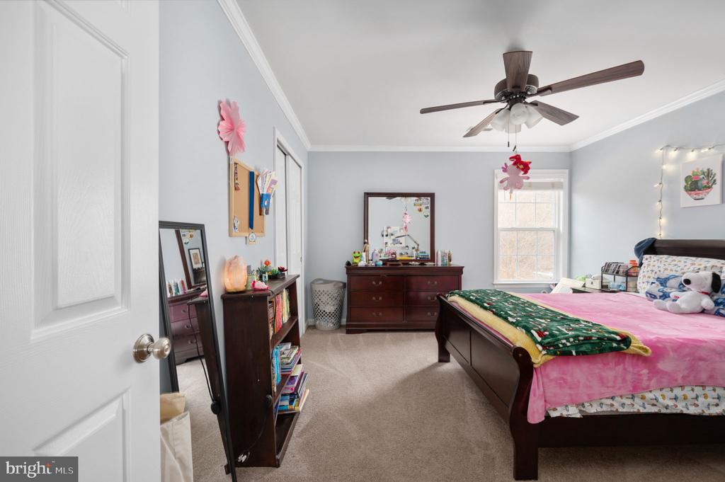 3623 CAROLINA COURT
