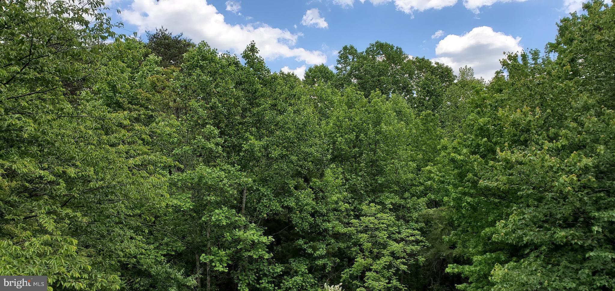 JEFFERSON DAVIS HIGHWAY