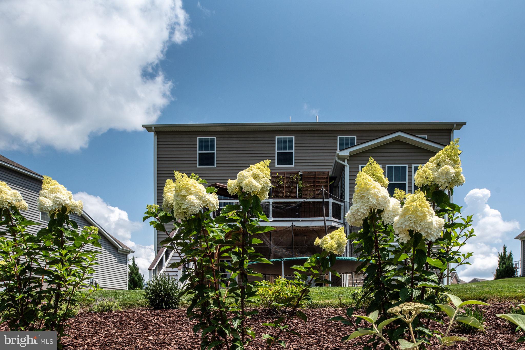 106 Old Oaks Ct