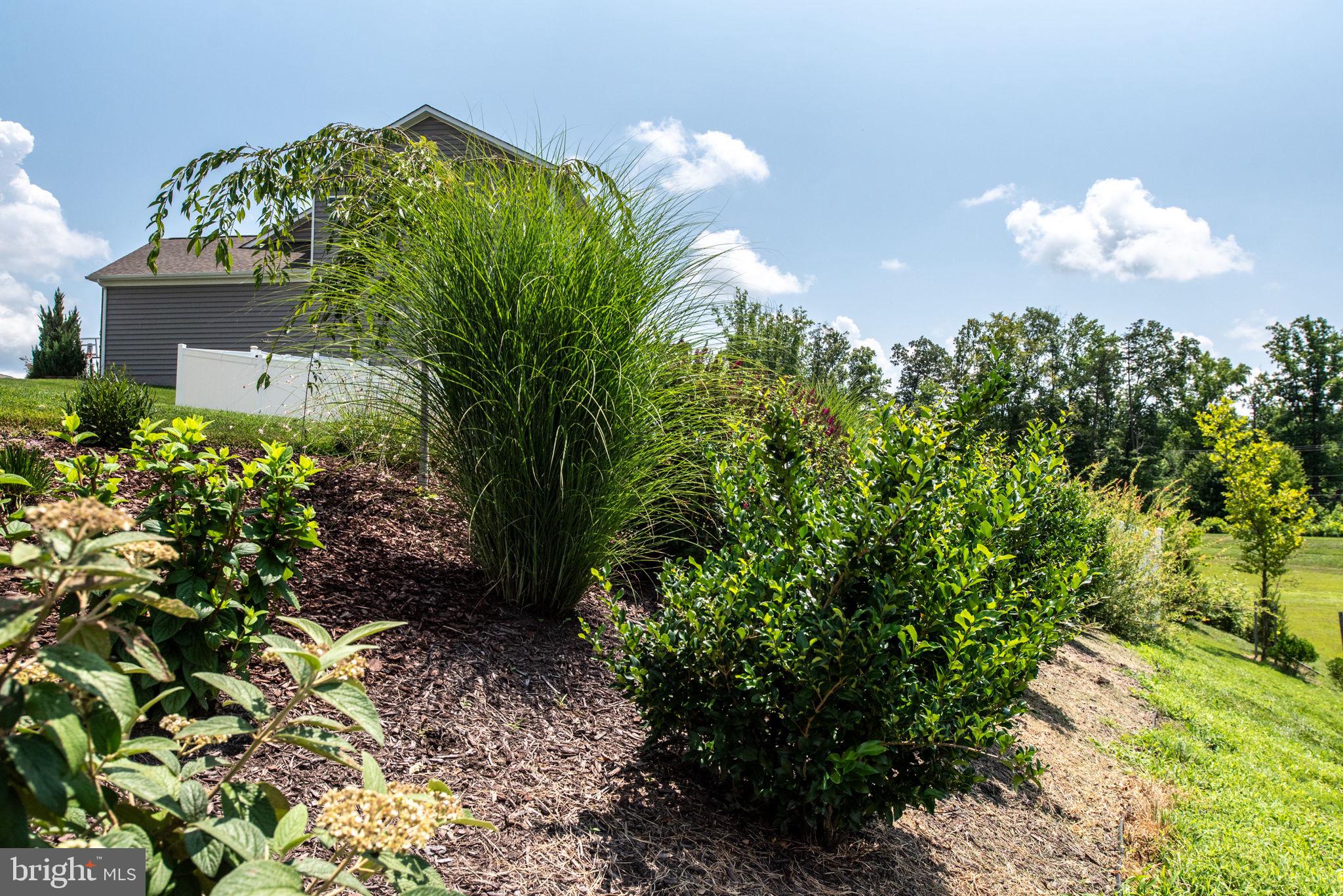 106 Old Oaks Ct
