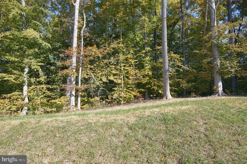 103 Elmsley Ln