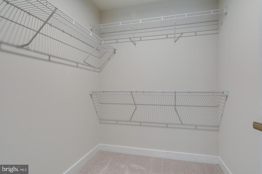 103 Elmsley Ln