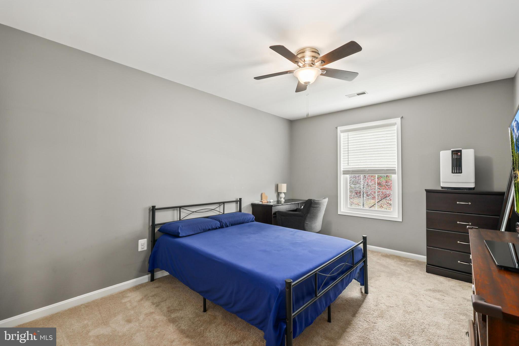 36 Dorothy Ln