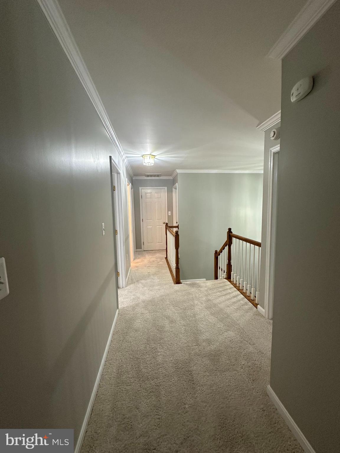 6 Oxen Ct