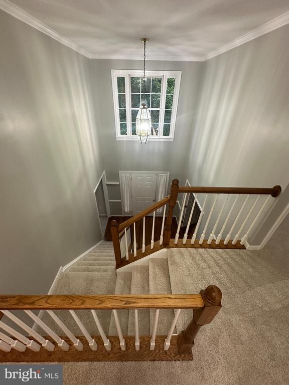 6 Oxen Ct