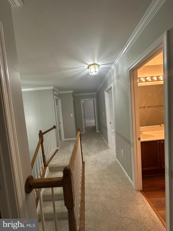 6 Oxen Ct
