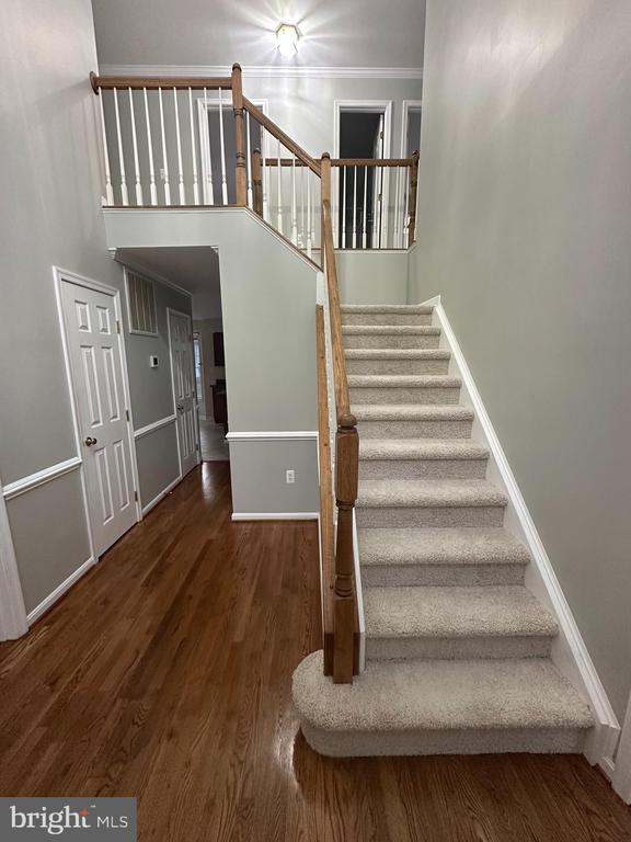 6 Oxen Ct